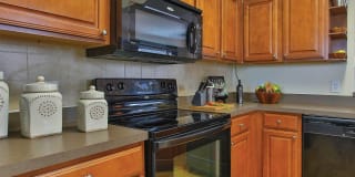 Advenir at Wynstone Gallery 4