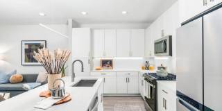 Modera Waugh Gallery 2