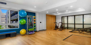 The Lex The Lex Gallery 31