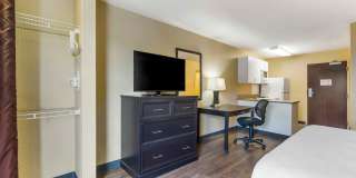 Tampa - North - USF - Attractions Gallery 1