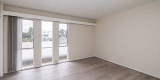 115 Moss Avenue Gallery 24