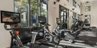 The Grove On Main Gallery 25