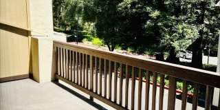 1756 Kudu Ct Gallery 7