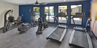 SITE Fifty55 Gallery 5