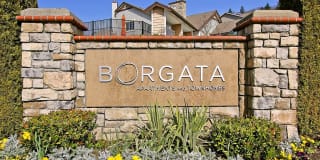 Borgata Apartments and Townhomes Gallery 9