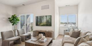 Cedar Green Gallery 19