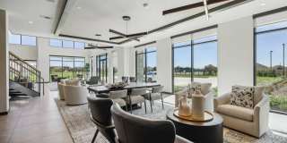 The Palo Gallery 25