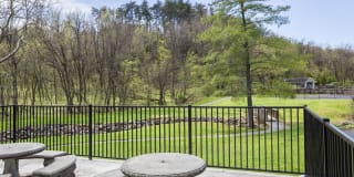 Salem Wood Gallery 27