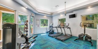 Ventura Vista Gallery 25