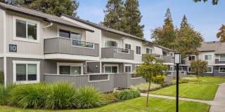 Sofi Berryessa Gallery 20