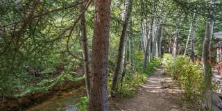 66 Alpine Court Gallery 19