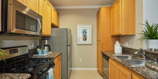 The Piero Gallery 66