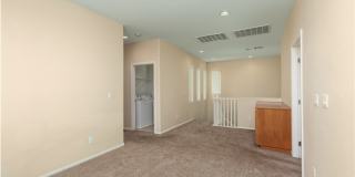 8277 Brilliant Pompon Place Gallery 12