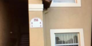 255 Spring Drive Gallery 1