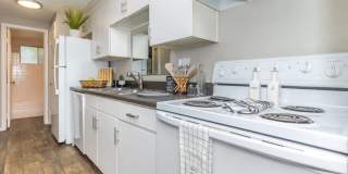 Carlisle on the Park Gallery 1