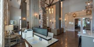 Red Knot at Edinburgh Gallery 56