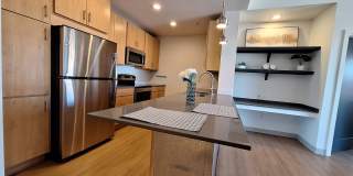 Blue Dot Place Gallery 8