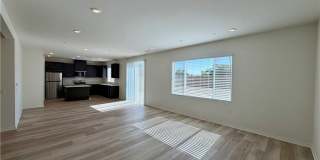 9643 Babaco Gallery 2