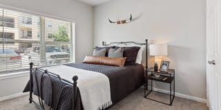 Longhorn Crossing Gallery 37