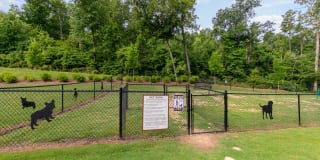 The Village at Apison Pike Gallery 19