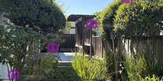 1257 Cougar Lane Gallery 19
