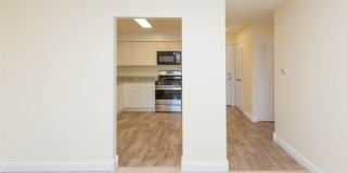 Chestnut Hill North Apartments Gallery 10