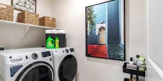 Solara Vista Gallery 7