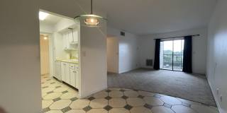 1601 S Flagler Drive Gallery 4