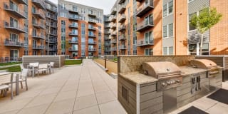 TGM Northshore Gallery 21