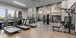 The Elmwood Gallery 22