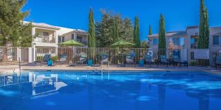 Port Royale Gallery 10