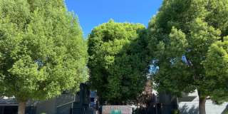 Crickelwood Community Townhome! Crickelwood Community Townhome! Gallery 1