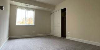 Northgate Gallery 162