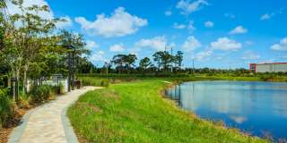 The Archer Gallery 31