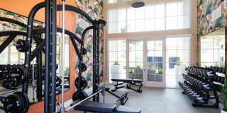 Ava Newport Gallery 11