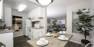 Axiom Tustin Gallery 25