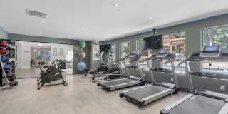 Emerald Place Gallery 8