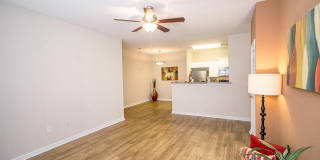 Pine Lake Gallery 37