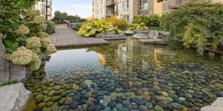 The Bristol At Southport Gallery 44