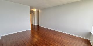 155 N HARBOR Drive Gallery 16