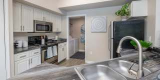 Banyan Bay Gallery 16