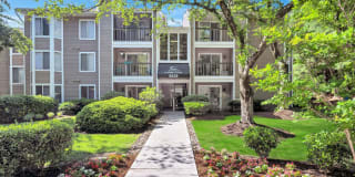 Columbia Glade Gallery 33