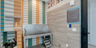 Outlook Horizons Gallery 20
