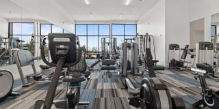 Reveal Skyline Gallery 21