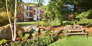 Norwood Gardens Gallery 10
