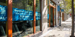 Berkeley Central Gallery 2