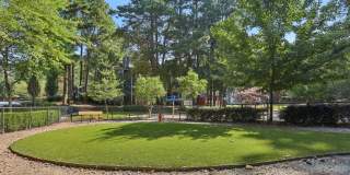Canopy Glen Gallery 37