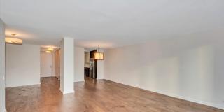 200 E Delaware Place Gallery 7