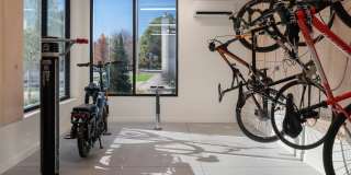 Riverline Gallery 35