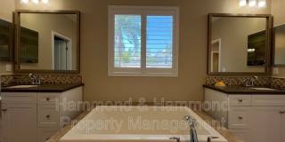 11395 Beechnut St. Gallery 39